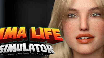 MMA Life Simulator